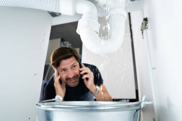 Best Water Leak Repair  in Carbondale, CO
